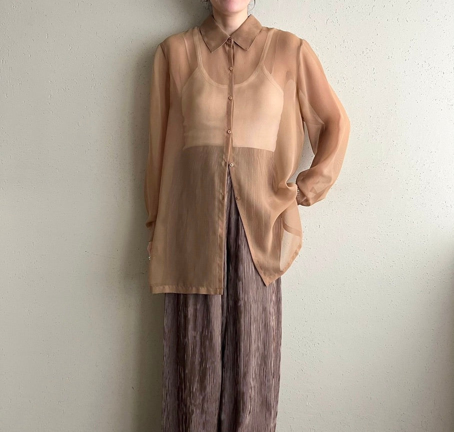 Sheer Shirt