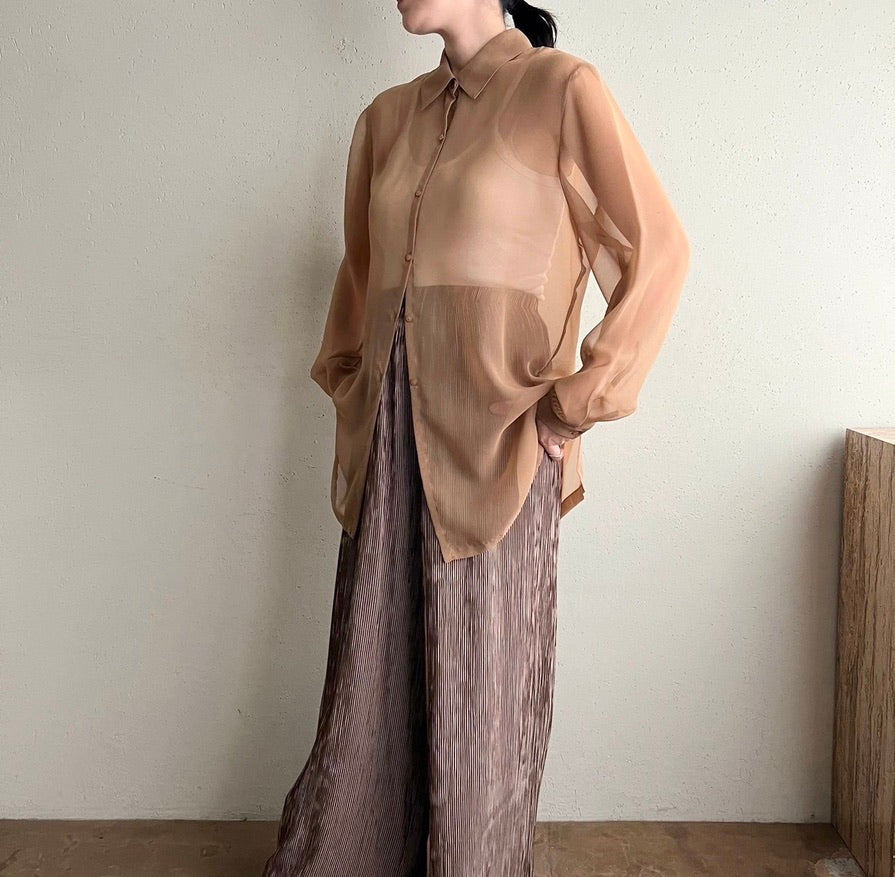 Sheer Shirt