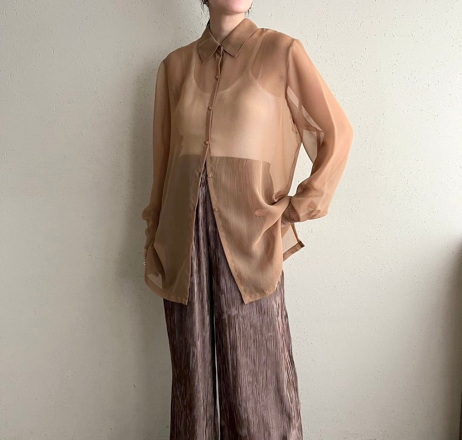 Sheer Shirt