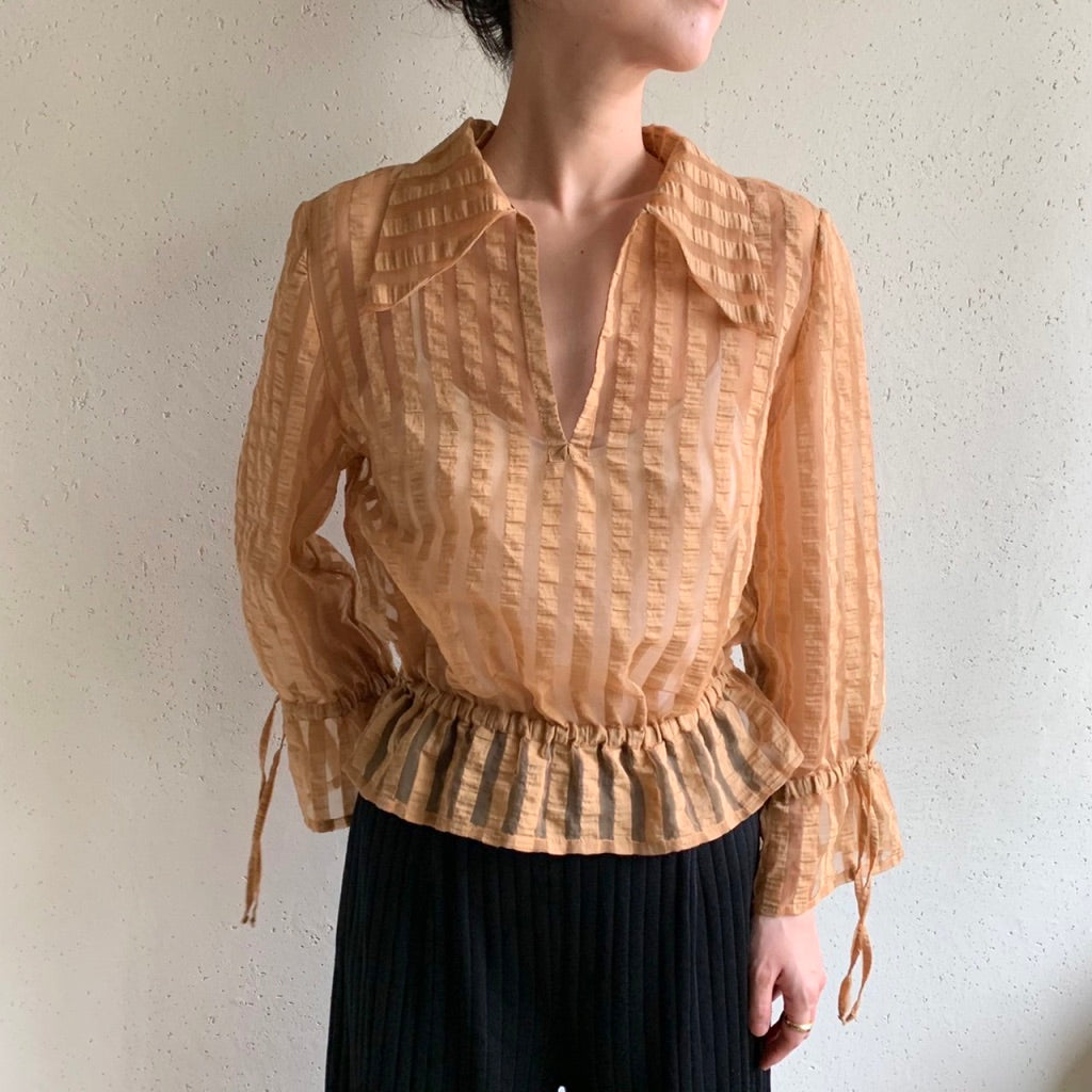 Sheer Blouse
