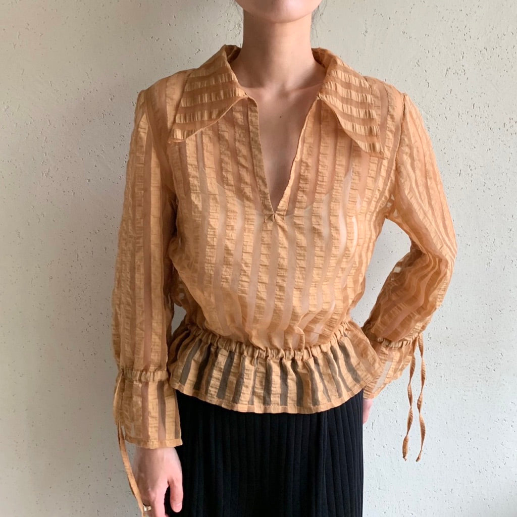 Sheer Blouse