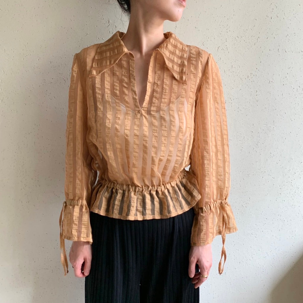 Sheer Blouse