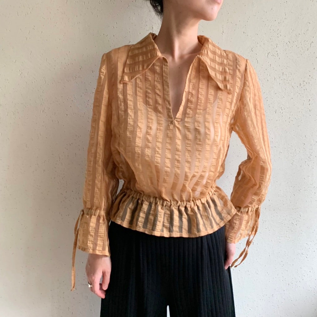 Sheer Blouse