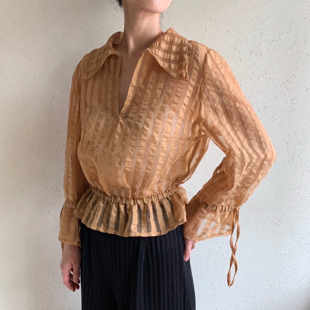 Sheer Blouse