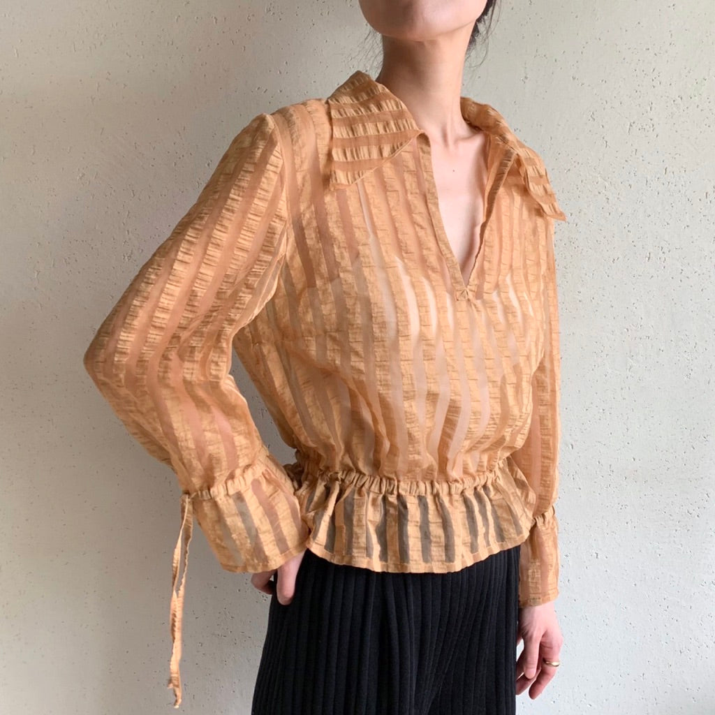 Sheer Blouse