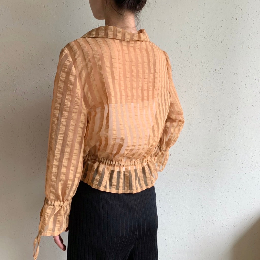 Sheer Blouse
