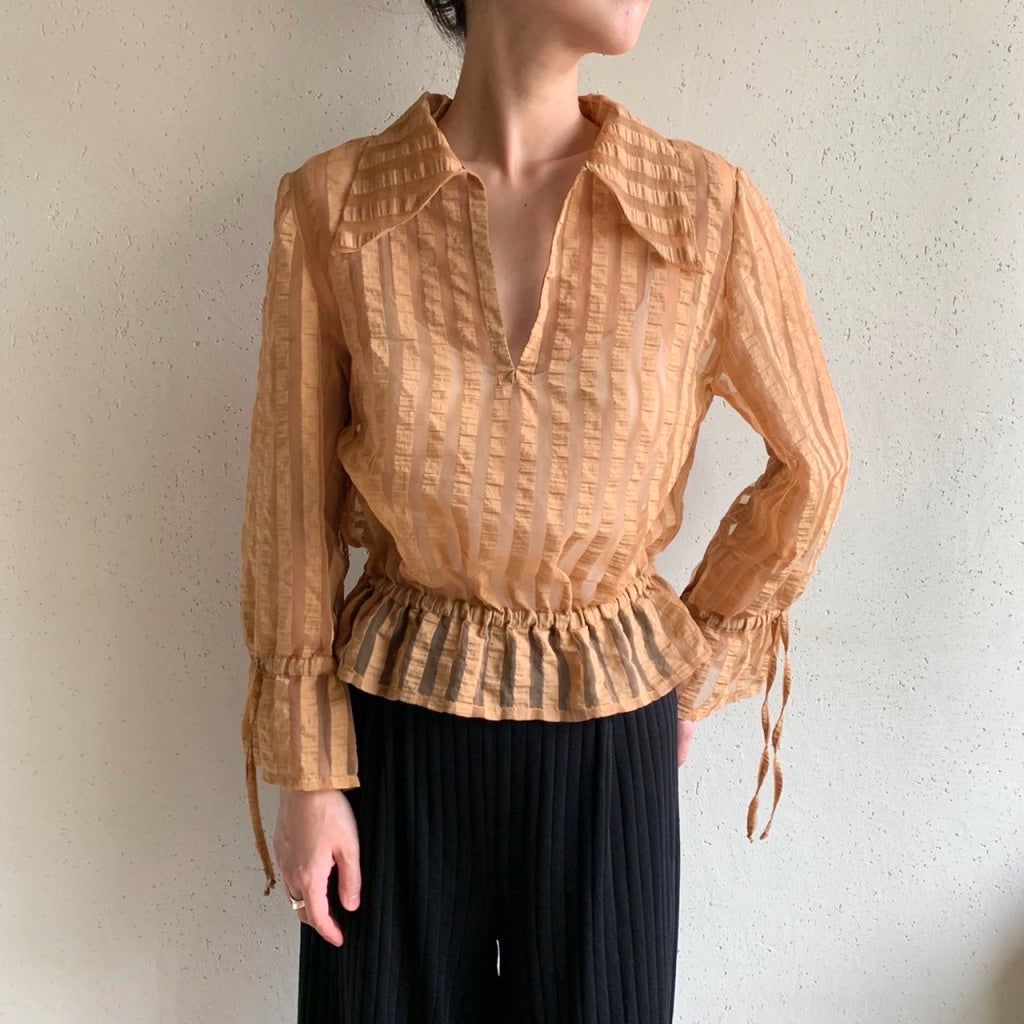 Sheer Blouse