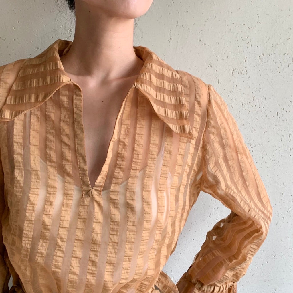 Sheer Blouse