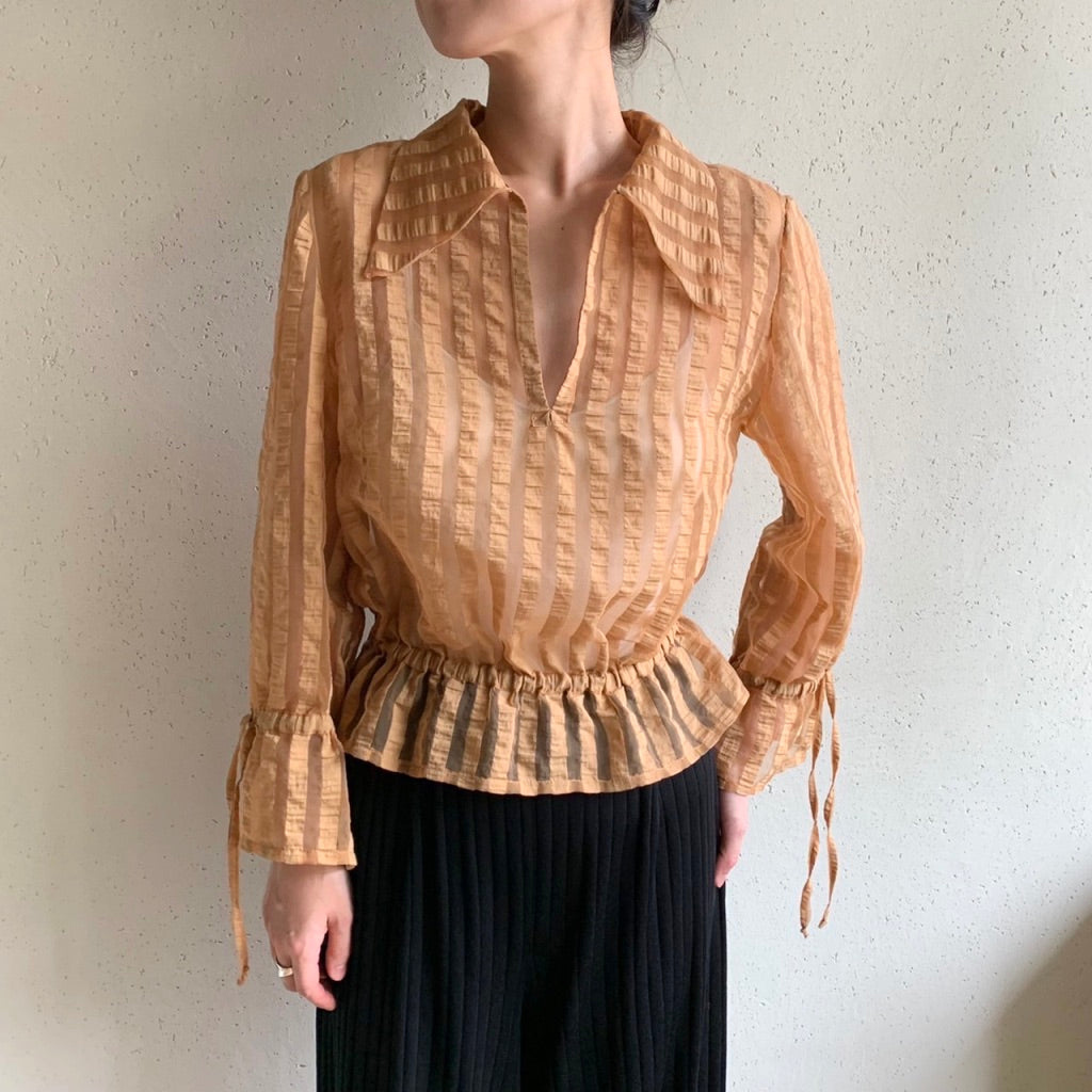 Sheer Blouse
