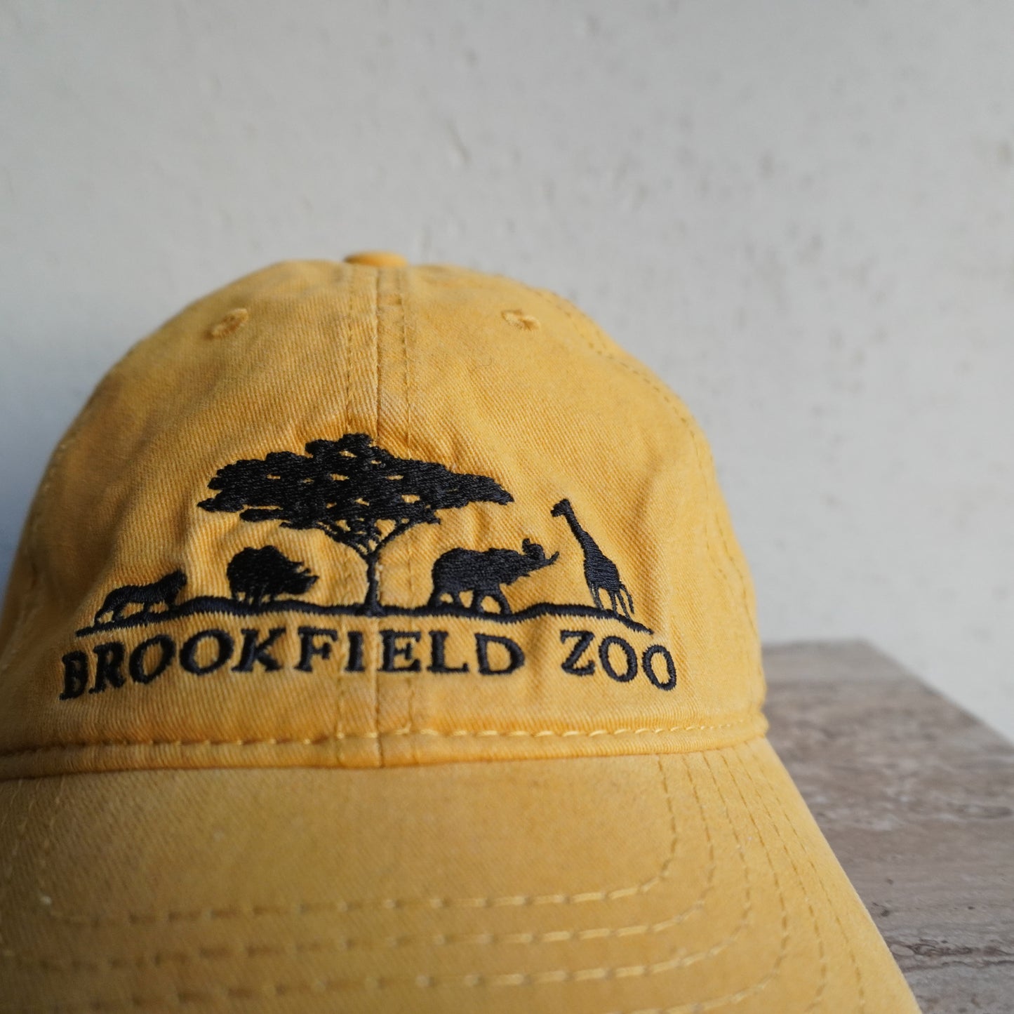 Embroidery Cap