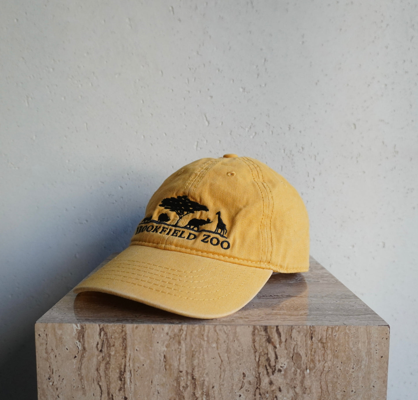 Embroidery Cap