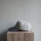 Embroidery Cap