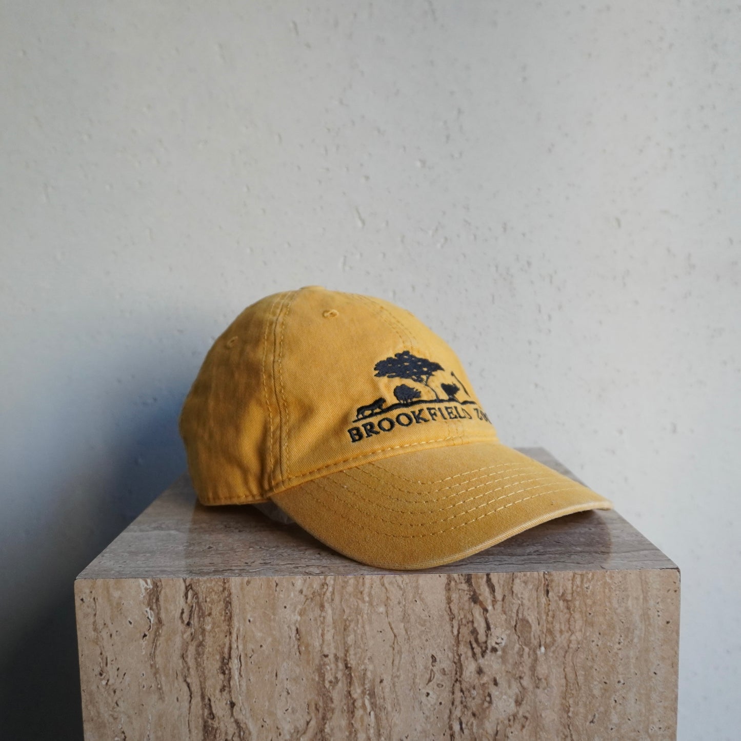 Embroidery Cap