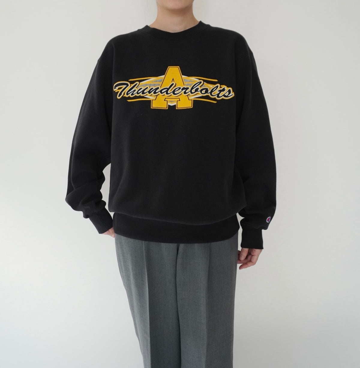 90s  ”Champion” Printed Sweater Made in USA