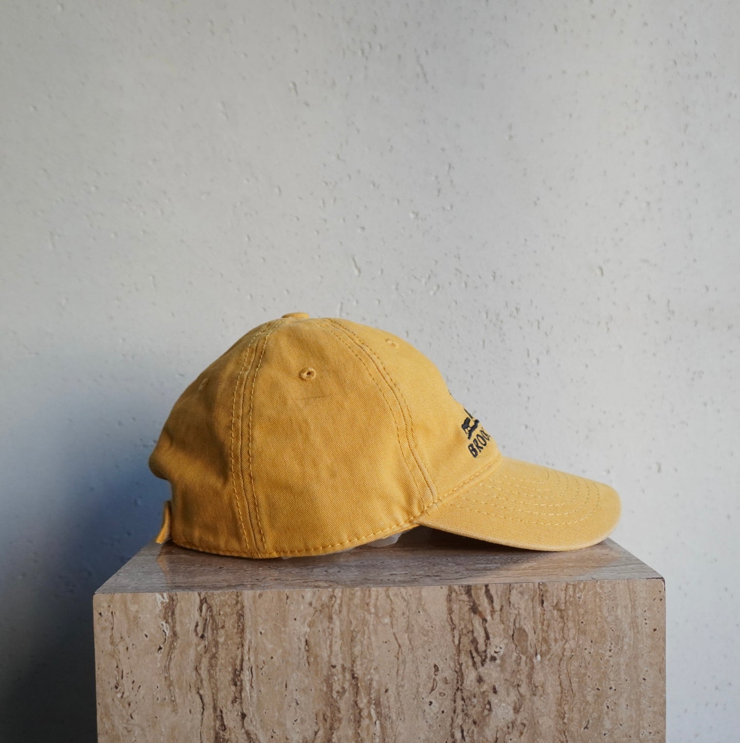 Embroidery Cap
