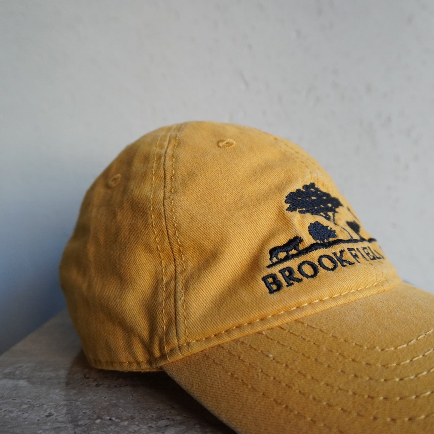 Embroidery Cap