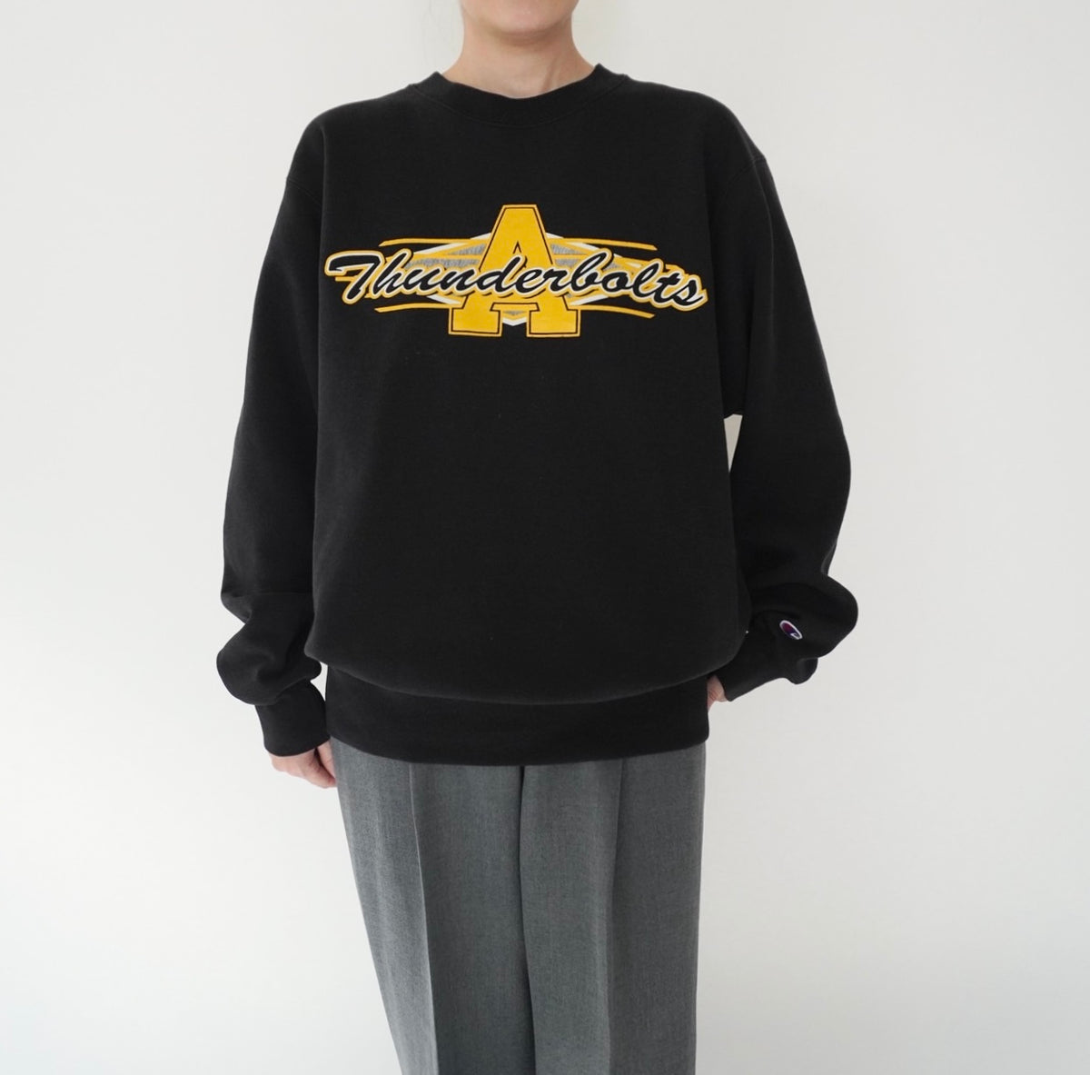 90s  ”Champion” Printed Sweater Made in USA