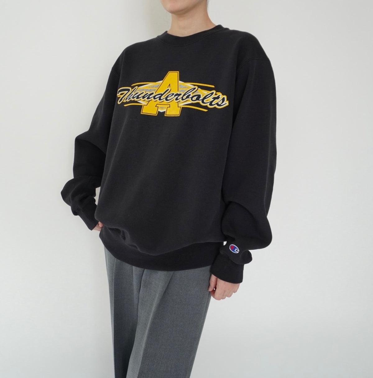 90s  ”Champion” Printed Sweater Made in USA
