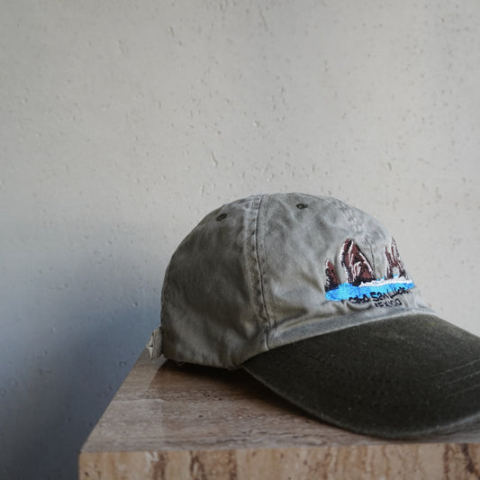 Embroidery Cap